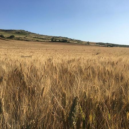 Gibbesi Country Farm Piccolo Cottage Naro Екстериор снимка